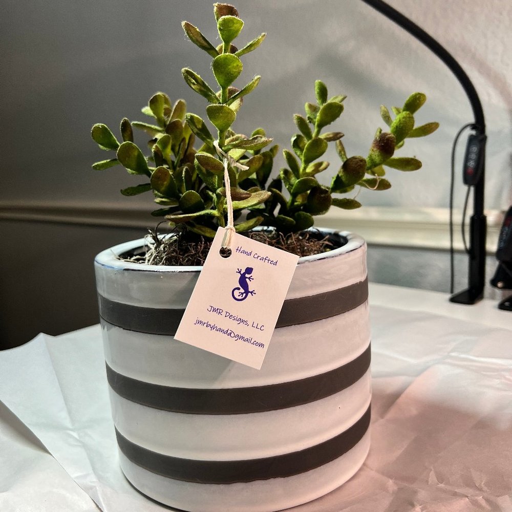 Faux Succulent in Grey Ceramic Planter